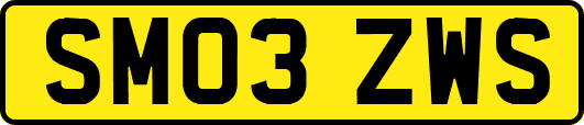 SM03ZWS