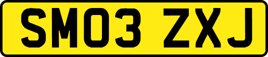 SM03ZXJ