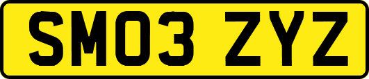 SM03ZYZ