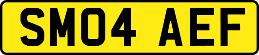 SM04AEF