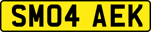 SM04AEK