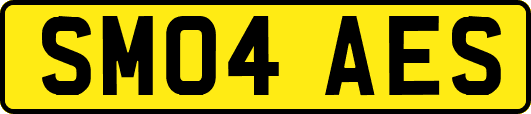 SM04AES