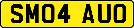 SM04AUO