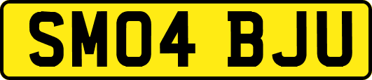 SM04BJU