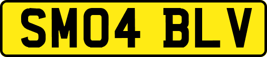 SM04BLV