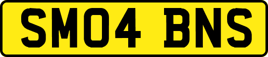 SM04BNS