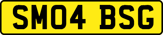 SM04BSG