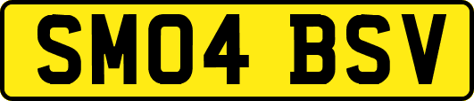 SM04BSV