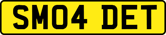 SM04DET
