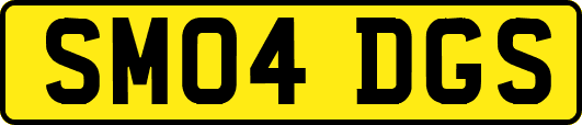 SM04DGS