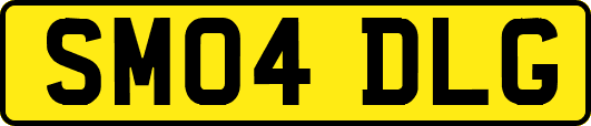 SM04DLG