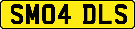 SM04DLS