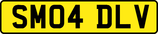 SM04DLV