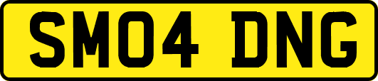 SM04DNG