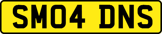 SM04DNS