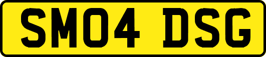 SM04DSG