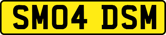 SM04DSM