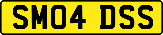 SM04DSS