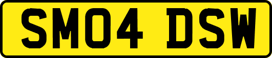 SM04DSW