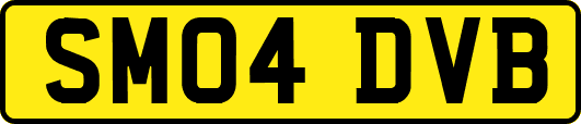 SM04DVB