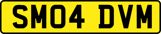 SM04DVM