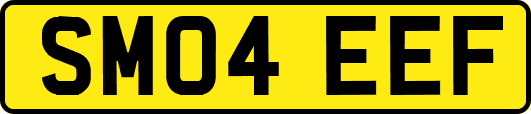 SM04EEF