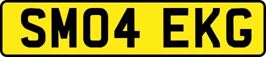 SM04EKG