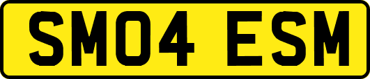 SM04ESM