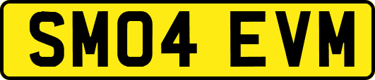 SM04EVM