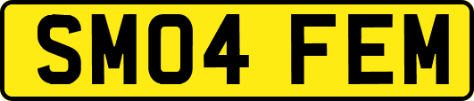 SM04FEM