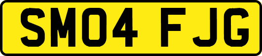 SM04FJG