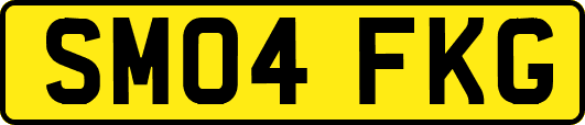 SM04FKG
