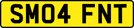 SM04FNT