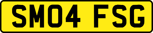 SM04FSG
