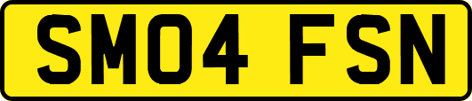 SM04FSN
