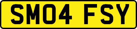 SM04FSY