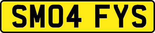 SM04FYS