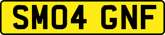 SM04GNF