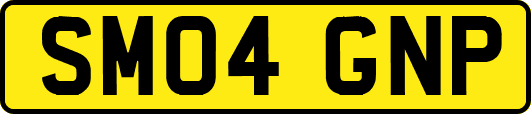 SM04GNP