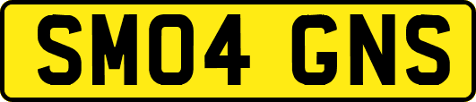 SM04GNS