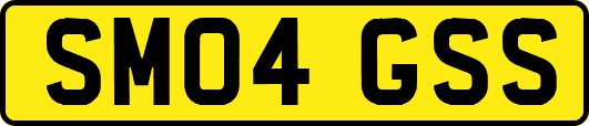 SM04GSS