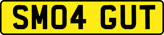 SM04GUT