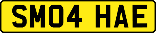 SM04HAE
