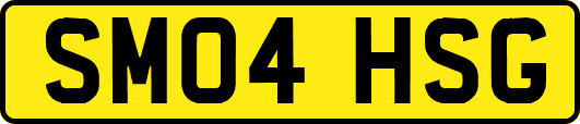 SM04HSG