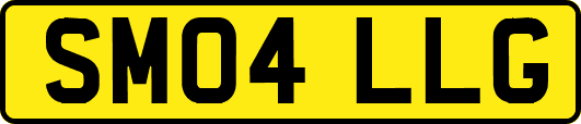 SM04LLG