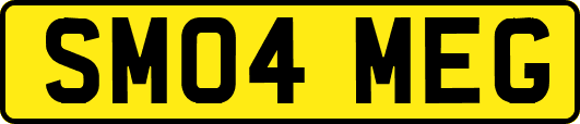SM04MEG