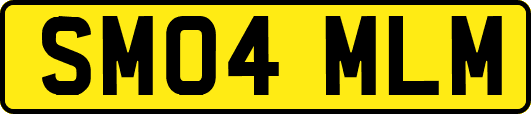 SM04MLM