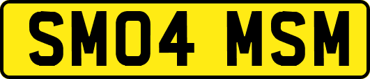 SM04MSM