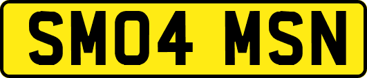 SM04MSN