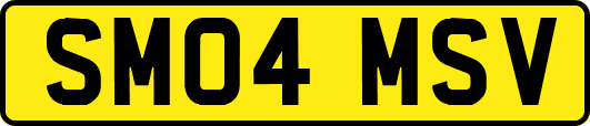 SM04MSV
